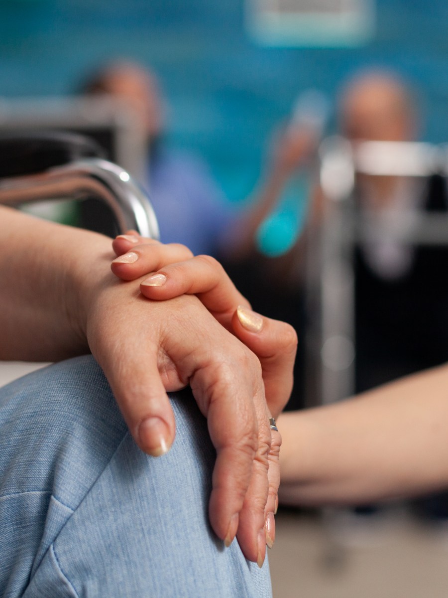 GERECULTOR O GEROCULTORA